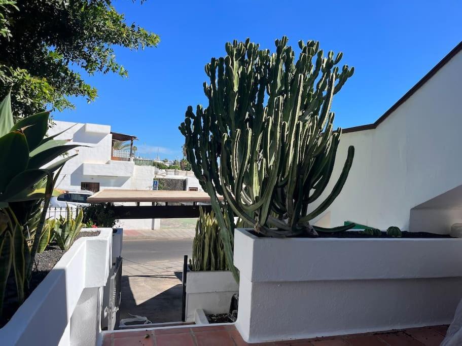 Paradise Playa Chica Con Terraza A 100M Del Mar Puerto del Carmen  Zewnętrze zdjęcie